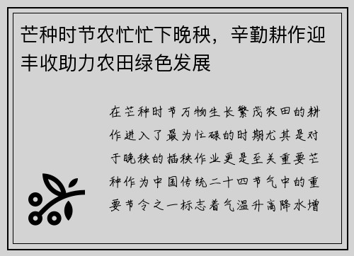 芒种时节农忙忙下晚秧，辛勤耕作迎丰收助力农田绿色发展