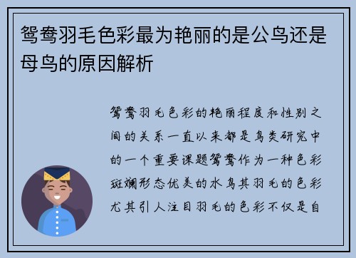 鸳鸯羽毛色彩最为艳丽的是公鸟还是母鸟的原因解析
